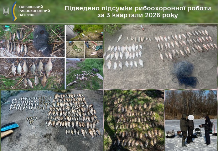 Новини Харкова: рибпатруль виявив 167 порушень
